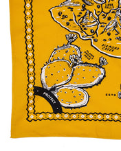 Load image into Gallery viewer, Parks Project x Hanks Kerchiefs Bird's-eye Grand Canyon Kerchief|GC407001