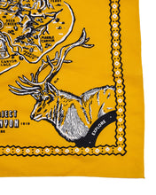 Load image into Gallery viewer, Parks Project x Hanks Kerchiefs Bird's-eye Grand Canyon Kerchief|GC407001