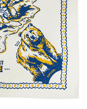 Load image into Gallery viewer, Parks Project x Hanks Kerchiefs Bird's-eye Yosemite Kerchief|YS407001