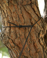 Load image into Gallery viewer, PARKS PROJECT Shrooms Two Person Hammock | PP413002