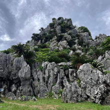 画像をギャラリービューアに読み込む, YAMBARU Tee No.1 | LC-2504-31
