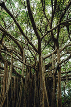 画像をギャラリービューアに読み込む, YAMBARU Tee No.2 | LC-2504-32
