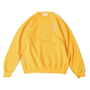 NATIONAL PARKS PUFF PRINT P/O SWEAT｜PP24AW-006US