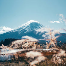 画像をギャラリービューアに読み込む, ”Mt.Fuji” No.1 | LC-2504-42
