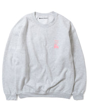 Load image into Gallery viewer, PARKS PROJECT  Mt.Fuji Crew Neck Sweat｜ 21AW-009
