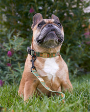 Load image into Gallery viewer, PARKS PROJECT Power to the Parks Shrooms Dog Collar｜PP417002
