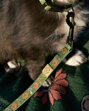 Load image into Gallery viewer, PARKS PROJECT Power to the Parks Shrooms Dog Leash｜ PP417001
