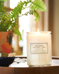 PARKS PROJECT Yosemite Pine Candle｜SP20-92