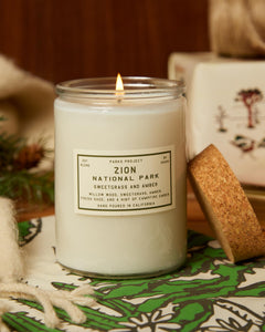 PARKS PROJECT Zion Sweetgrass and Amber Candle｜SP20-90